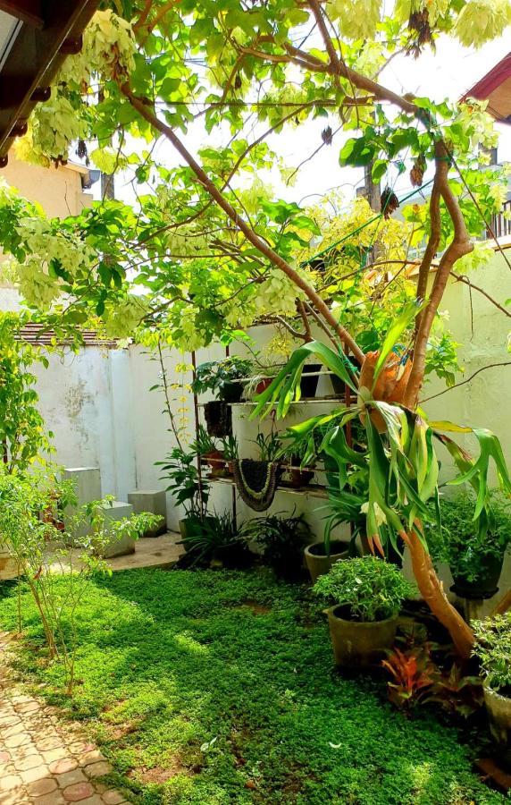 Guesthouse Kind And Love 히카두와 외부 사진